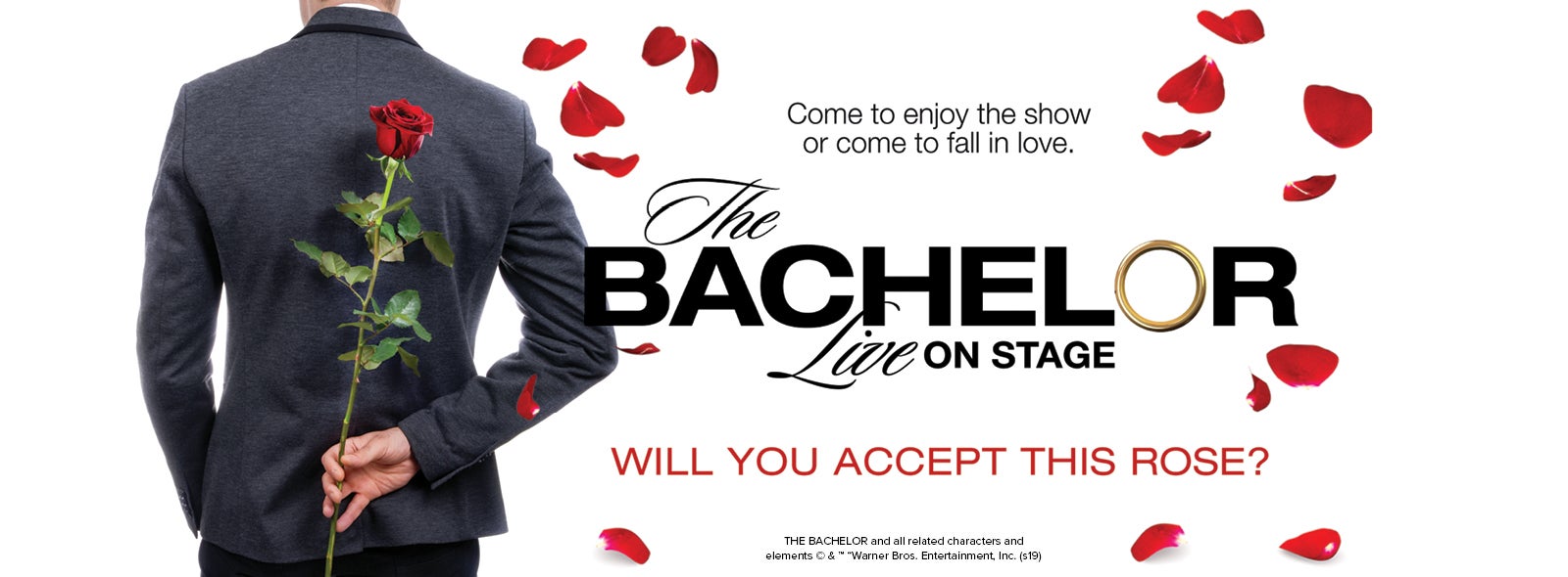 BachelorLive_1600x590.jpg