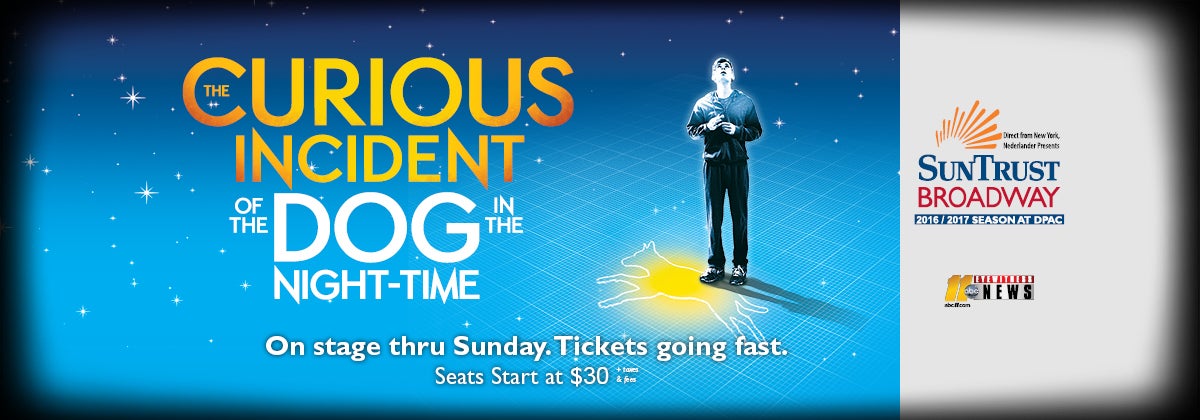 The Curious Incident of the Dog in the Night-Time