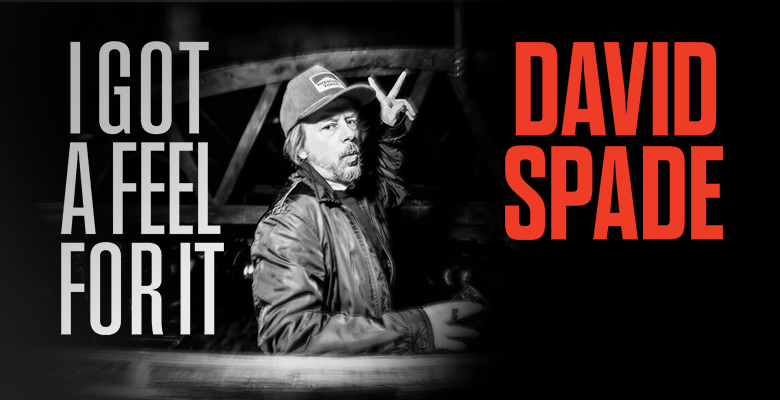 More Info for David Spade