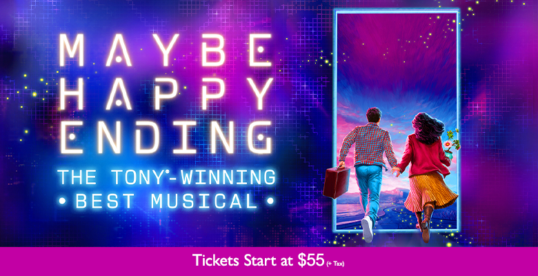 More Info for Maybe Happy Ending