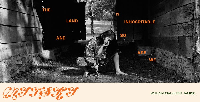More Info for Mitski