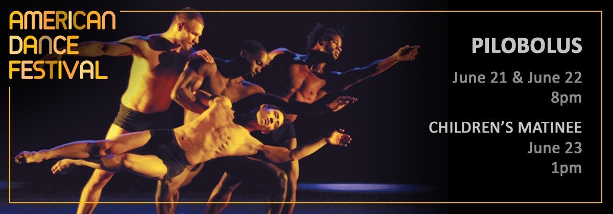 Pilobolus