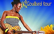 More Info for India Arie 